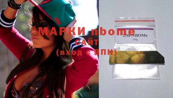 шишки Арсеньев