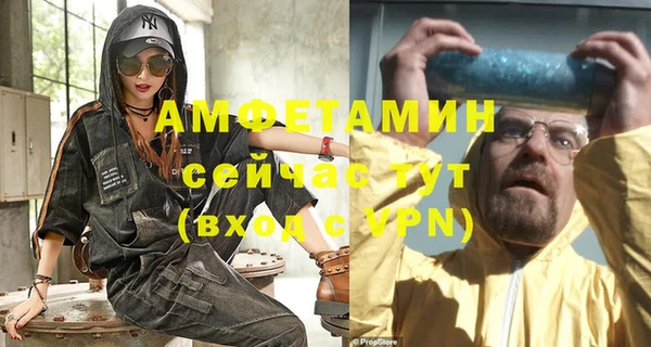 шишки Арсеньев