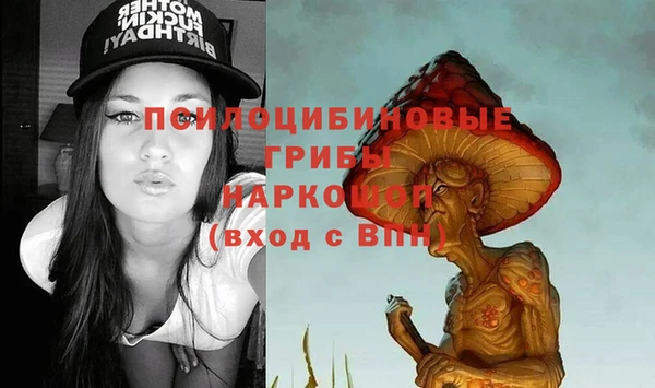 шишки Арсеньев