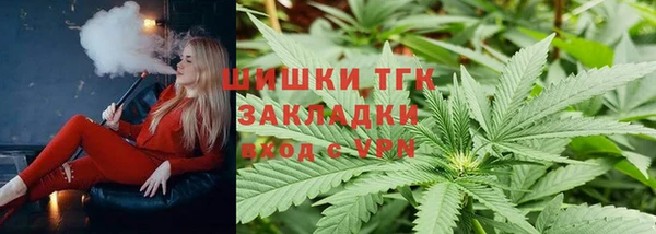 шишки Арсеньев