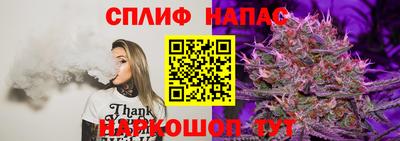 стаф Тверь