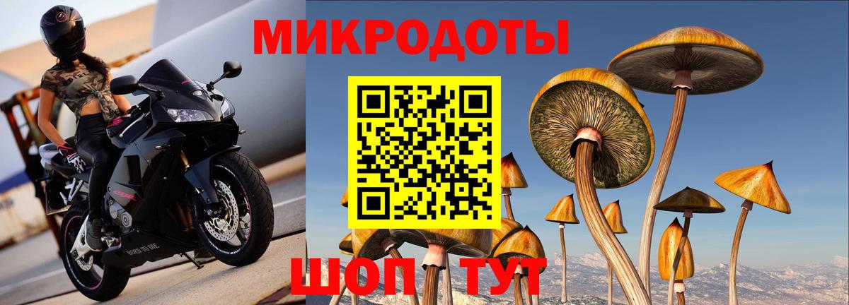 Сосновый Бор  Галлюциногенные грибы Magic Shrooms  Вход с VPN 